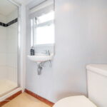 ccc82057 8c0b 44e4 9d58 067d9625ea6f jpg