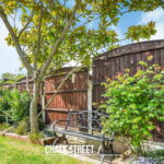 DSC07503 1776256239523 jpg